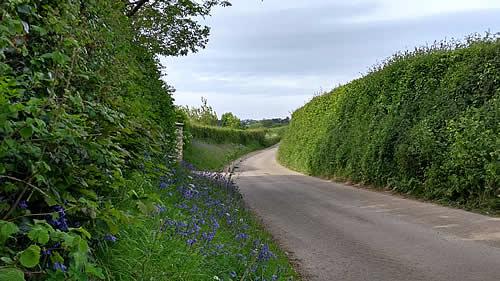 Photo Gallery Image - A rural lane, Tywardreath and Par Parish