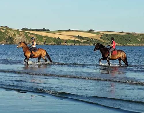 Photo Gallery Image - Horses on Par Beach