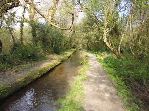 Photo Gallery Image - Tywardreath Marshes