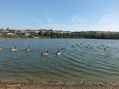 Photo Gallery Image - Lake with waterfowl near Par sands